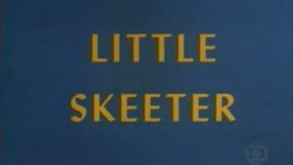 The Woody Woodpecker Show - S1969E02 - Little Skeeter