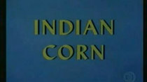 The Woody Woodpecker Show - Episode 1 - Indian Corn