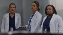 Grey's Anatomy - Episode 10 - You Can Look (But You'd Better Not Touch)