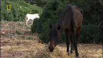 Guardians of Nature - Episode 9 - Sardinia