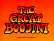 The Great Boodini