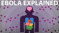 Kurzgesagt – In a Nutshell - Episode 13 - The Ebola Virus Explained — How Your Body Fights for Survival