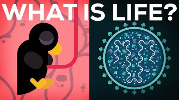 Kurzgesagt – In a Nutshell - S2014E14 - What Is Life? Is Death Real?