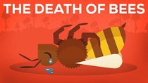 Kurzgesagt – In a Nutshell - Episode 9 - The Death of Bees Explained — Parasites, Poison and Humans