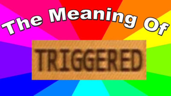 Behind The Meme - S01E09 - What is a triggered meme? The meaning and definition of triggered memes