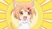 Nyanko Days - Episode 7 - The Cats' Day