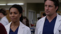 Grey's Anatomy - Episode 14 - Back Where You Belong