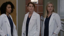 Grey's Anatomy - Episode 15 - Civil War