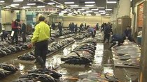 Begin Japanology - Episode 5 - Tsukiji Market