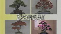 Begin Japanology - Episode 5 - Bonsai