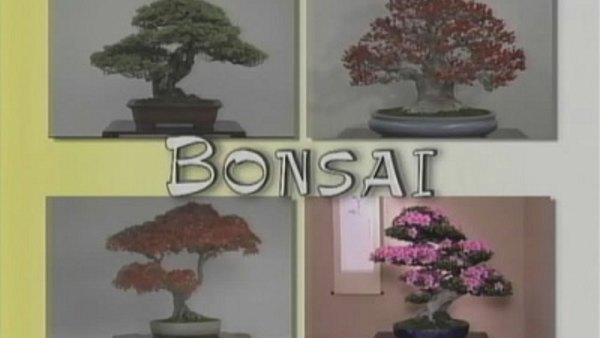 Begin Japanology - S02E05 - Bonsai