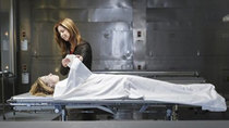 Body of Proof - Episode 1 - Pilot