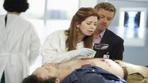 Body of Proof - Episode 7 - All in the Family