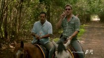 The Glades - Episode 12 - Happy Trails