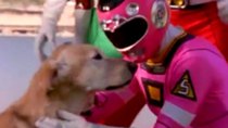 Power Rangers - Episode 38 - Cassie's Best Friend