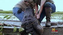 Swamp People - Episode 4 - Monster Marsh