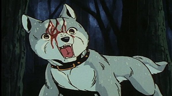 Ginga Nagareboshi Gin  WikiFur the furry encyclopedia