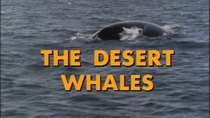 The Undersea World of Jacques Cousteau - Episode 8 - The Desert Whales