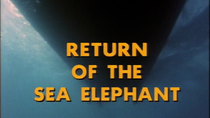 The Undersea World of Jacques Cousteau - Episode 10 - Return of the Sea Elephant