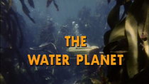 The Undersea World of Jacques Cousteau - Episode 12 - The Water Planet