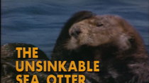 The Undersea World of Jacques Cousteau - Episode 17 - The Unsinkable Sea Otter