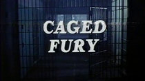 Joe Bob's Drive-In Theater - Episode 8 - Caged Fury