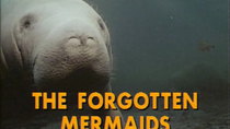 The Undersea World of Jacques Cousteau - Episode 18 - The Forgotten Mermaids