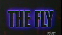 MonsterVision - Episode 169 - The Fly