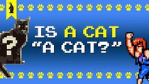 8-Bit Philosophy - Episode 16 - Is A Cat A Cat? (Derrida + Double Dragon)