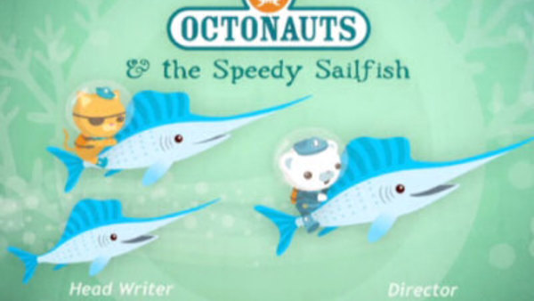 Octonauts - Ep. 10 - The Speedy Sailfish