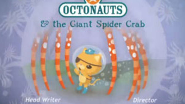 Octonauts - S01E50 - The Giant Spider Crab
