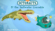 Octonauts - Episode 20 - The Saltwater Crocodile