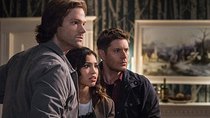 Supernatural - Episode 20 - Twigs and Twine and Tasha Banes