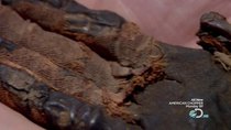Oddities - Episode 5 - Mummified Hand