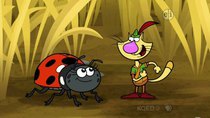 Nature Cat - Episode 50 - Lady Bug Tough