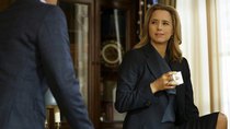 Madam Secretary - Episode 23 - Article 5