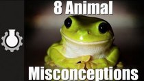 CGP Grey - Episode 5 - 8 Animal Misconceptions Rundown