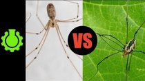 CGP Grey - Episode 6 - Are Daddy Longlegs Spiders? (Re: 8 Animal Misconceptions Rundown)