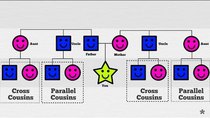 CGP Grey - Episode 5 - Parallel and Cross Cousins Explained