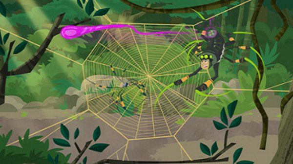 Wild Kratts Secrets Of The Spiders Web Wild Kratts Season 2 Episode 5