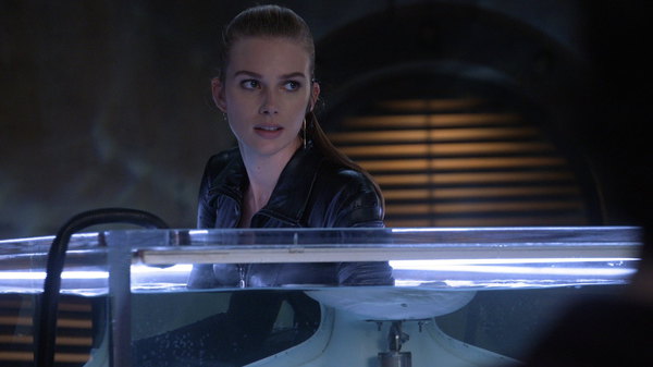 fright watch the stitchers fright watch the stitchers