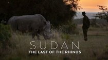 Natural World - Episode 6 - Sudan: The Last of the Rhinos