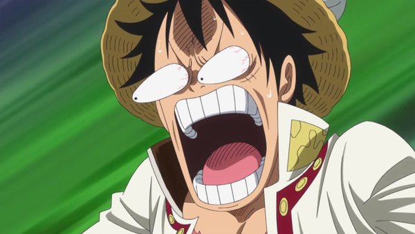 One Piece Episode 795 - Watch One Piece E795 Online