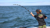 Wicked Tuna - Episode 12 - The Time is Now