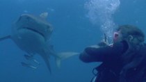 Shark Week - Episode 6 - Bull Shark: World's Deadliest Shark