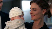 Bones - Episode 12 - The Baby in the Bough