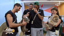 Les Anges (FR) - Episode 23