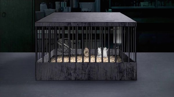 Animals. Season 2 Episode 1 Recap