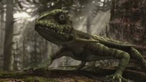 BBC Planet Dinosaur - Episode 2 - Feathered Dragons