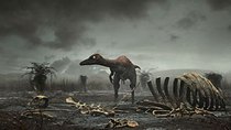 BBC Planet Dinosaur - Episode 6 - The Great Survivors